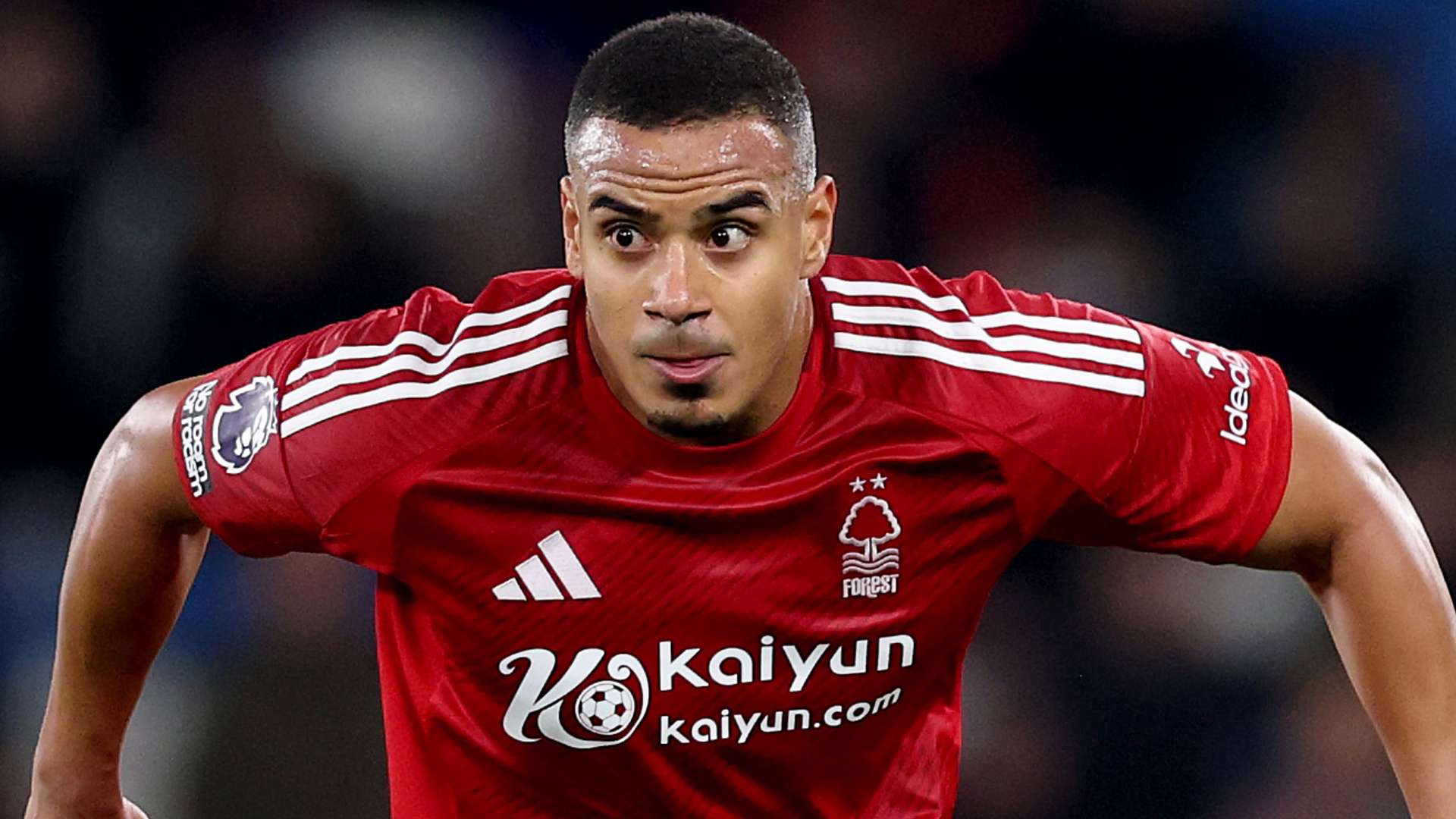 宝贵的参考 宝贵的参考