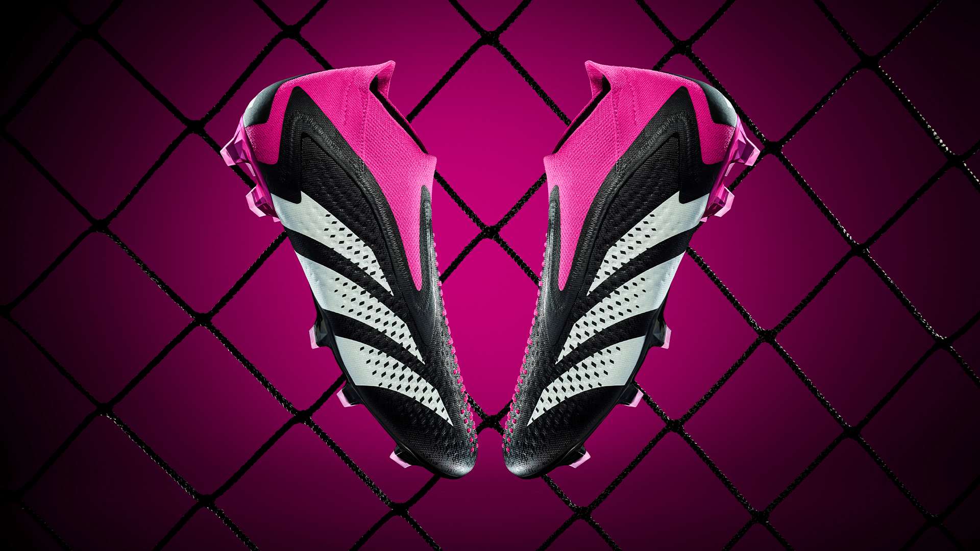 们的顽强意 们的顽强意